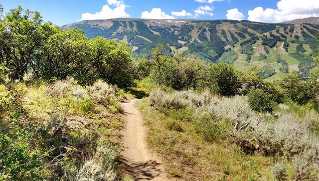rim trail loop colorado
